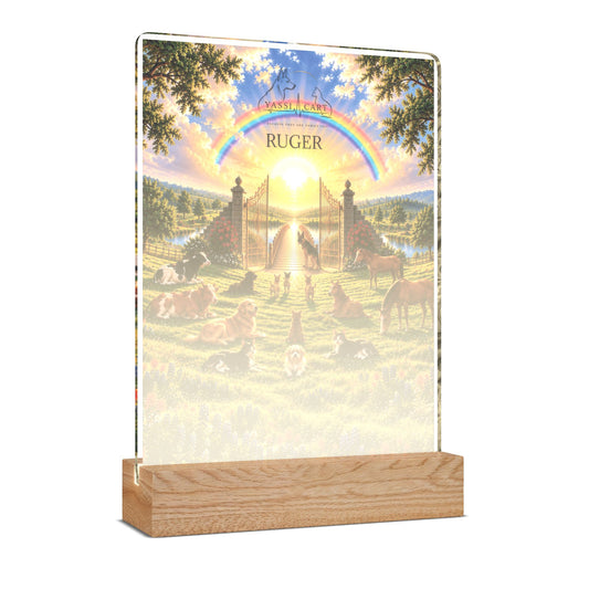 YASSI Personalized Pet Memorial LED Night Light