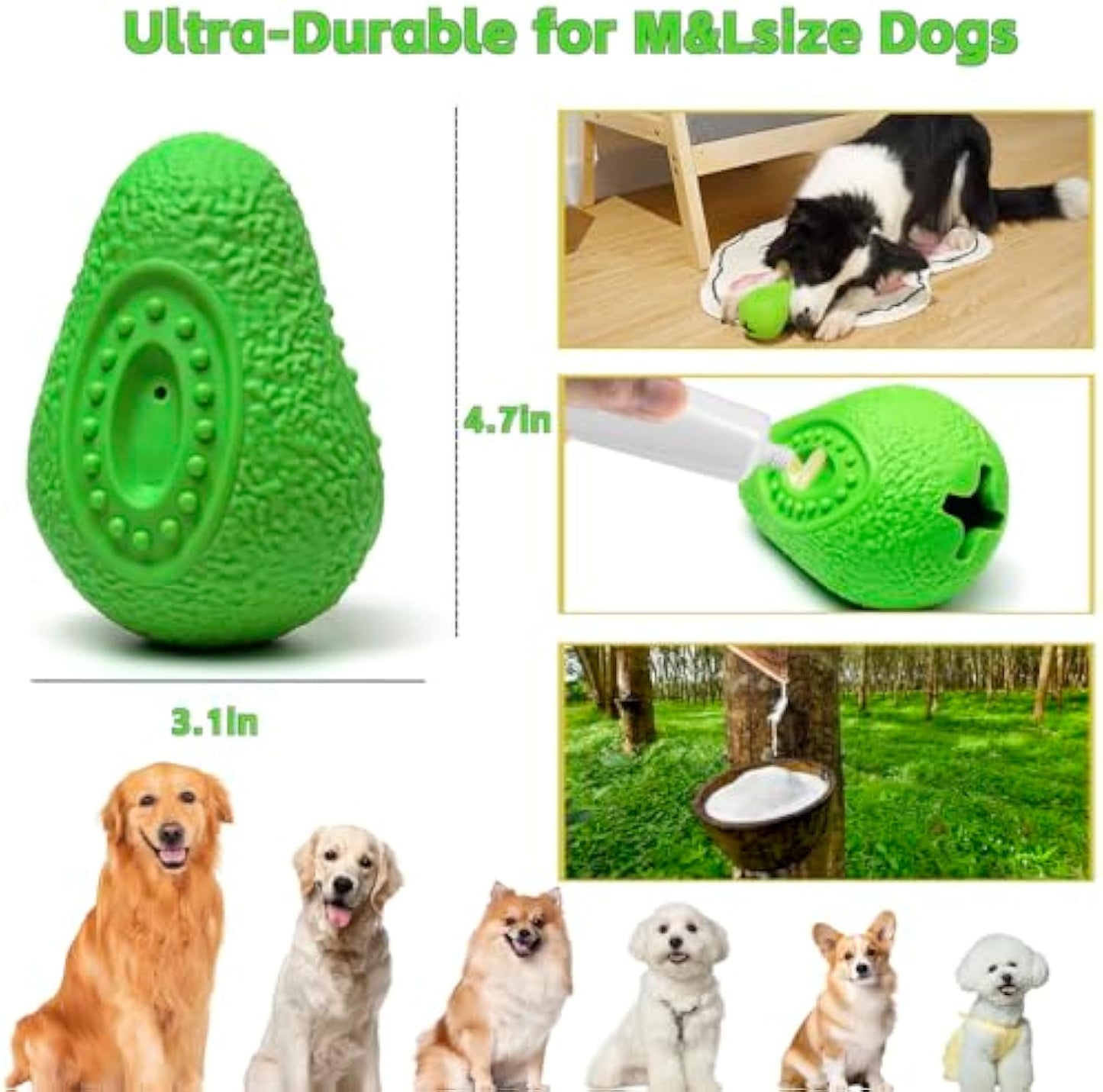 Yassi Indestructible treat dispenser