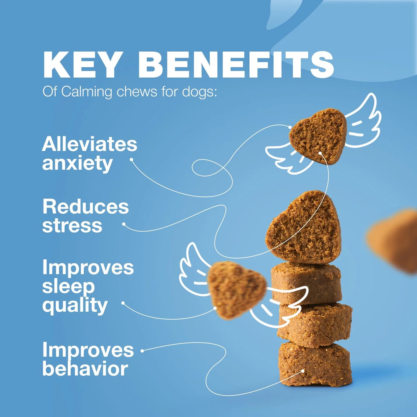 Yassi Calming Hemp Oil Chews for Dogs