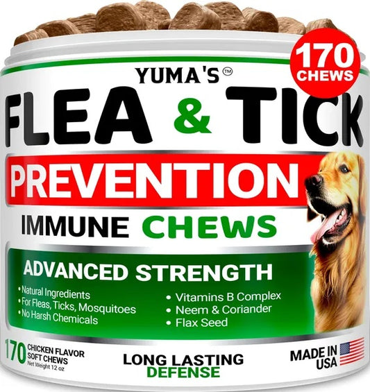 Yassi Flea and tick