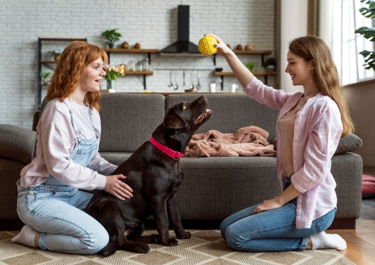 Next-Gen Pet Parenting: Must-Have Tools for Safer, Happier Pets