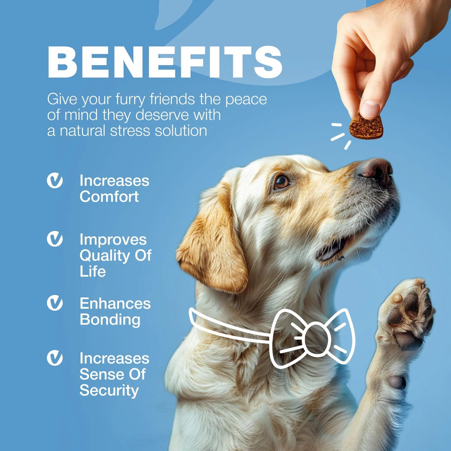 Yassi Calming Hemp Oil Chews for Dogs