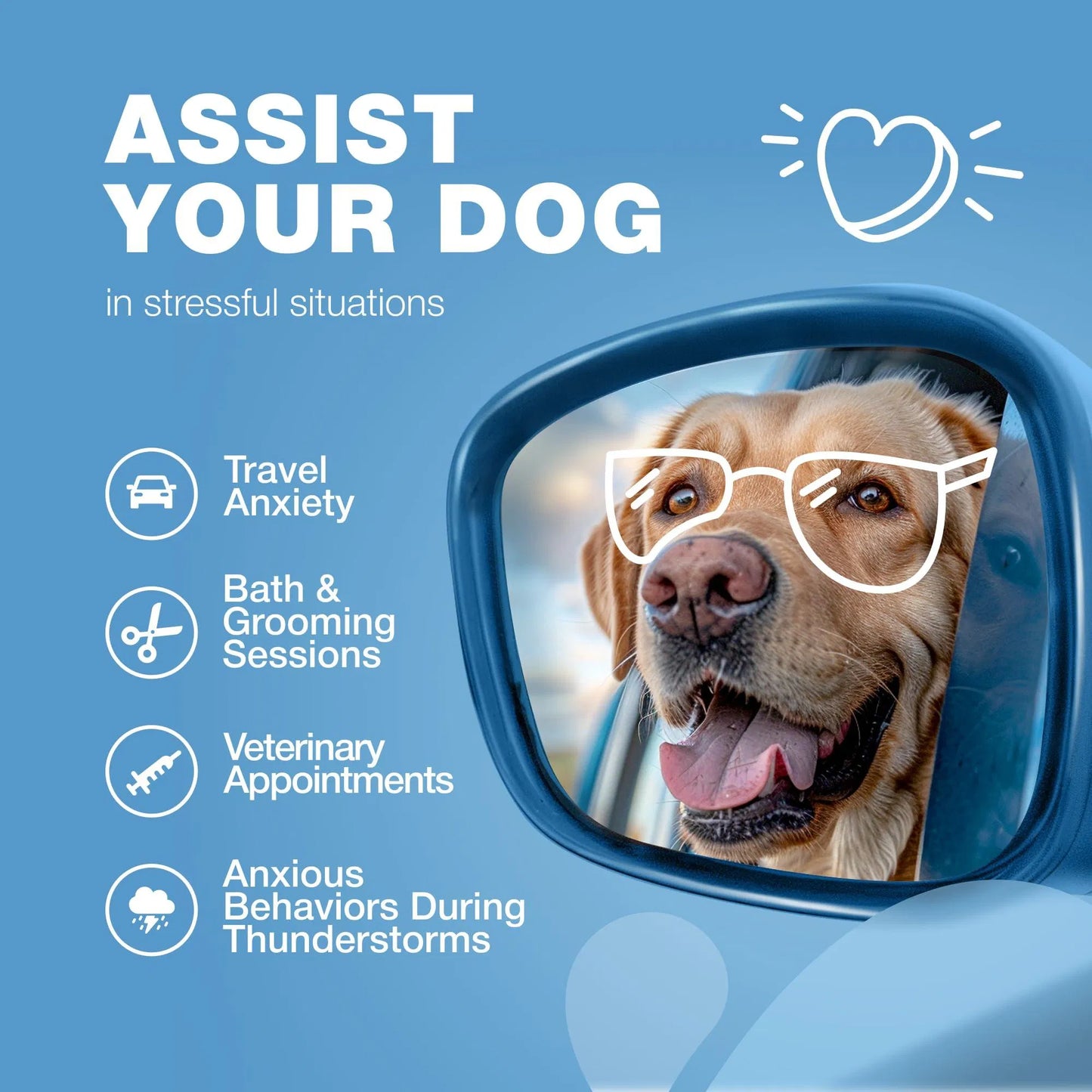 Yassi Calming Hemp Oil Chews for Dogs