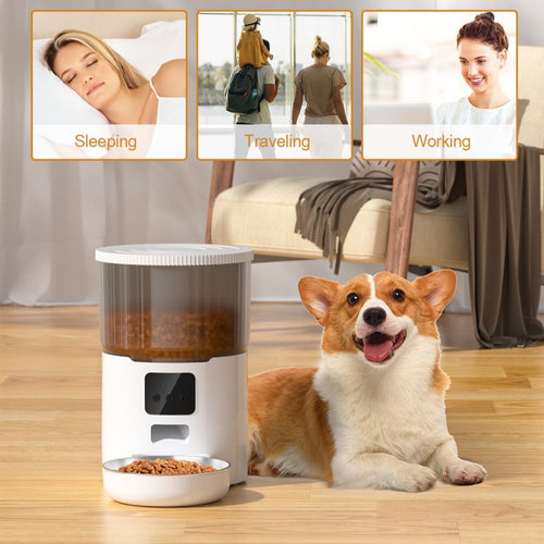 Yassi Cat Smart Dog Automatic Pet Feeder