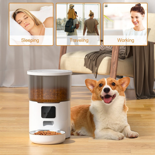 Yassi Cat Smart Dog Automatic Pet Feeder