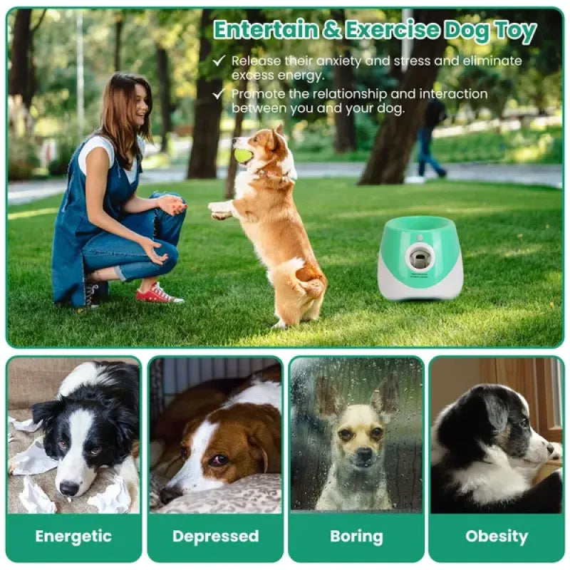 YASSI Interactive Automatic Pet Ball Launcher - Electronic Tennis Ball Thrower Toy for Dogs