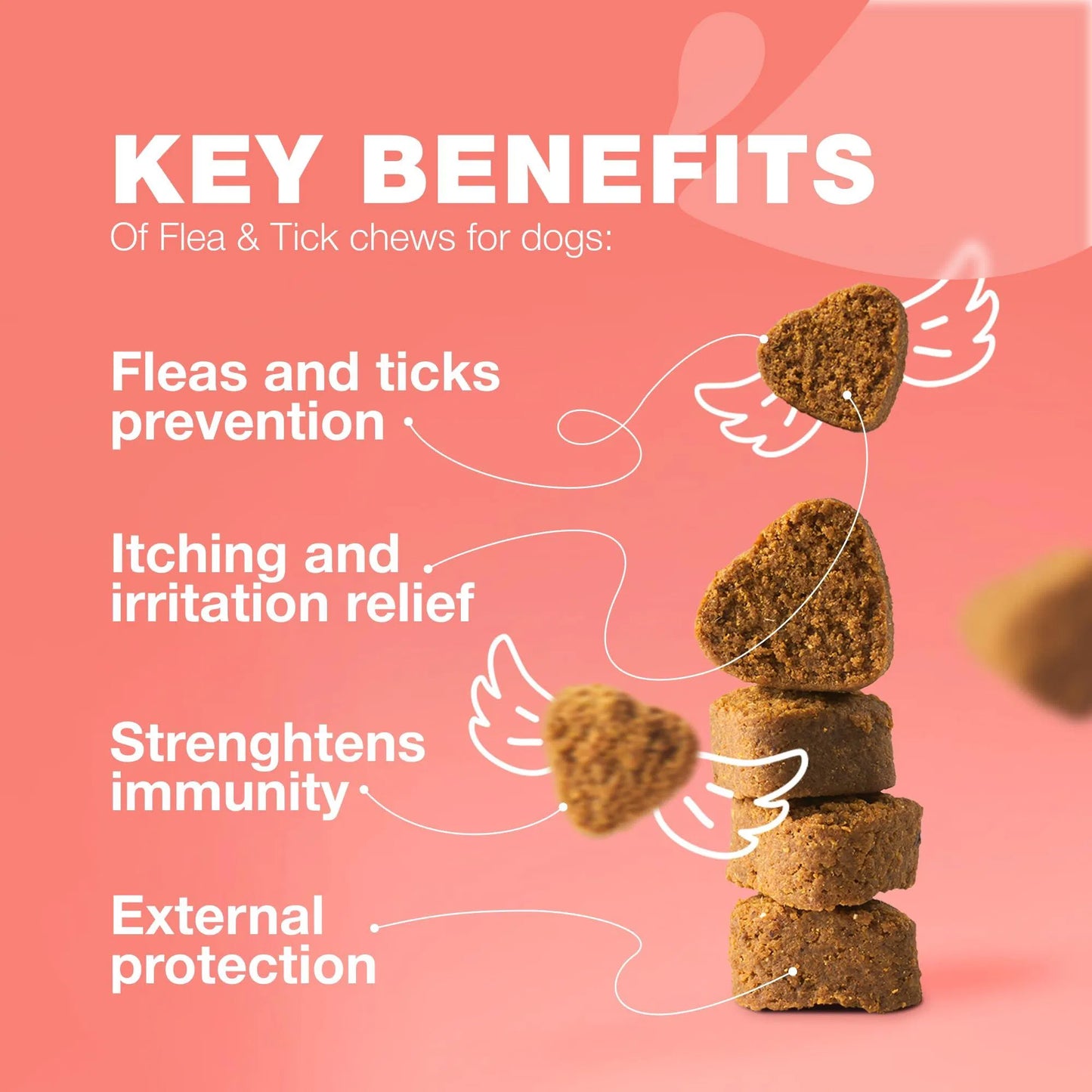 Yassi Flea & Tick Chews for Dogs
