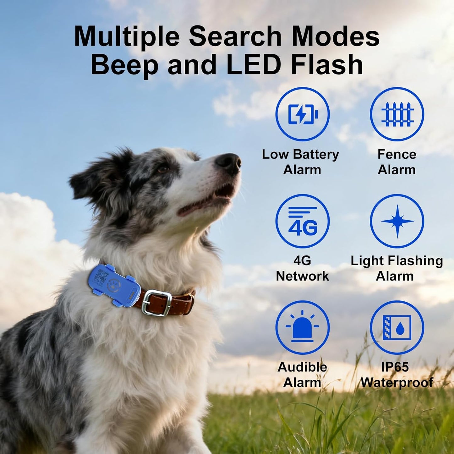 Yassi GPS tracking device for dog or cat