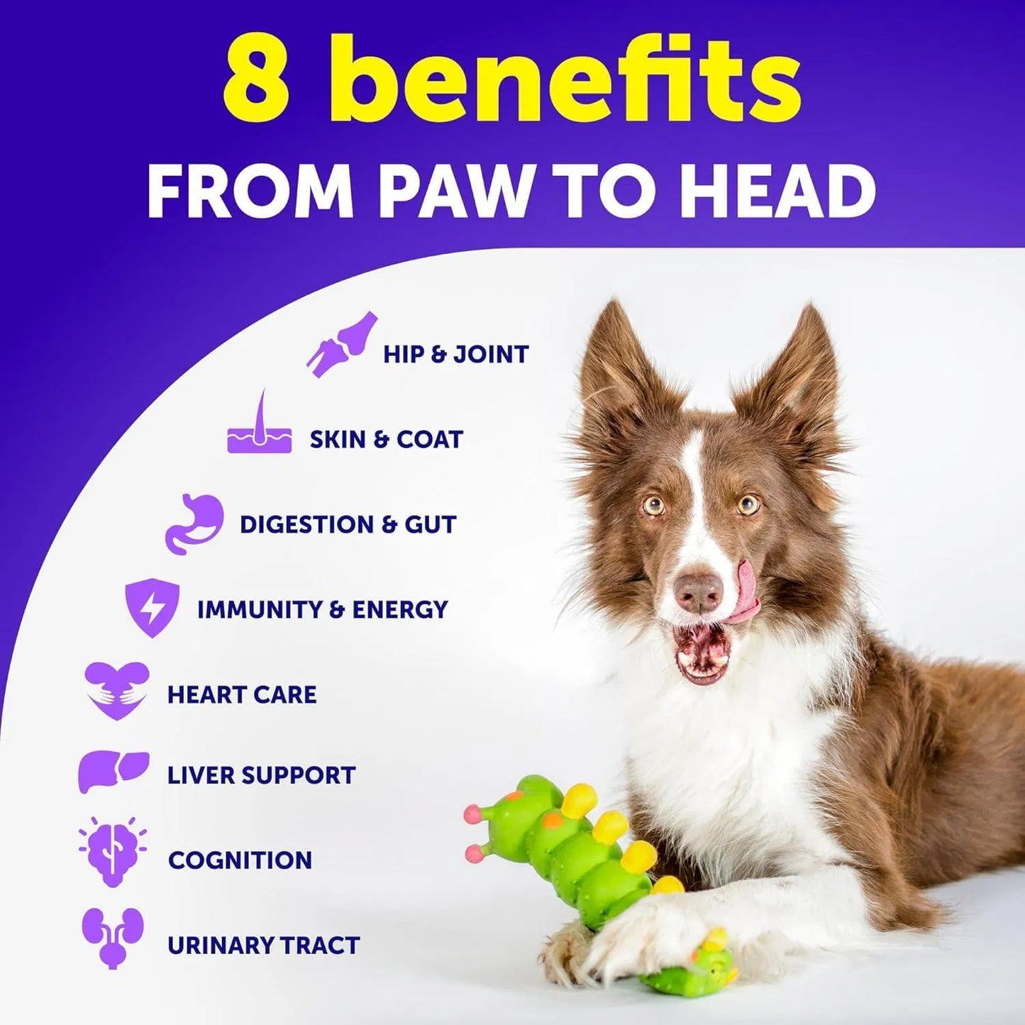 Yassi Hip & Joint Chews for Dogs