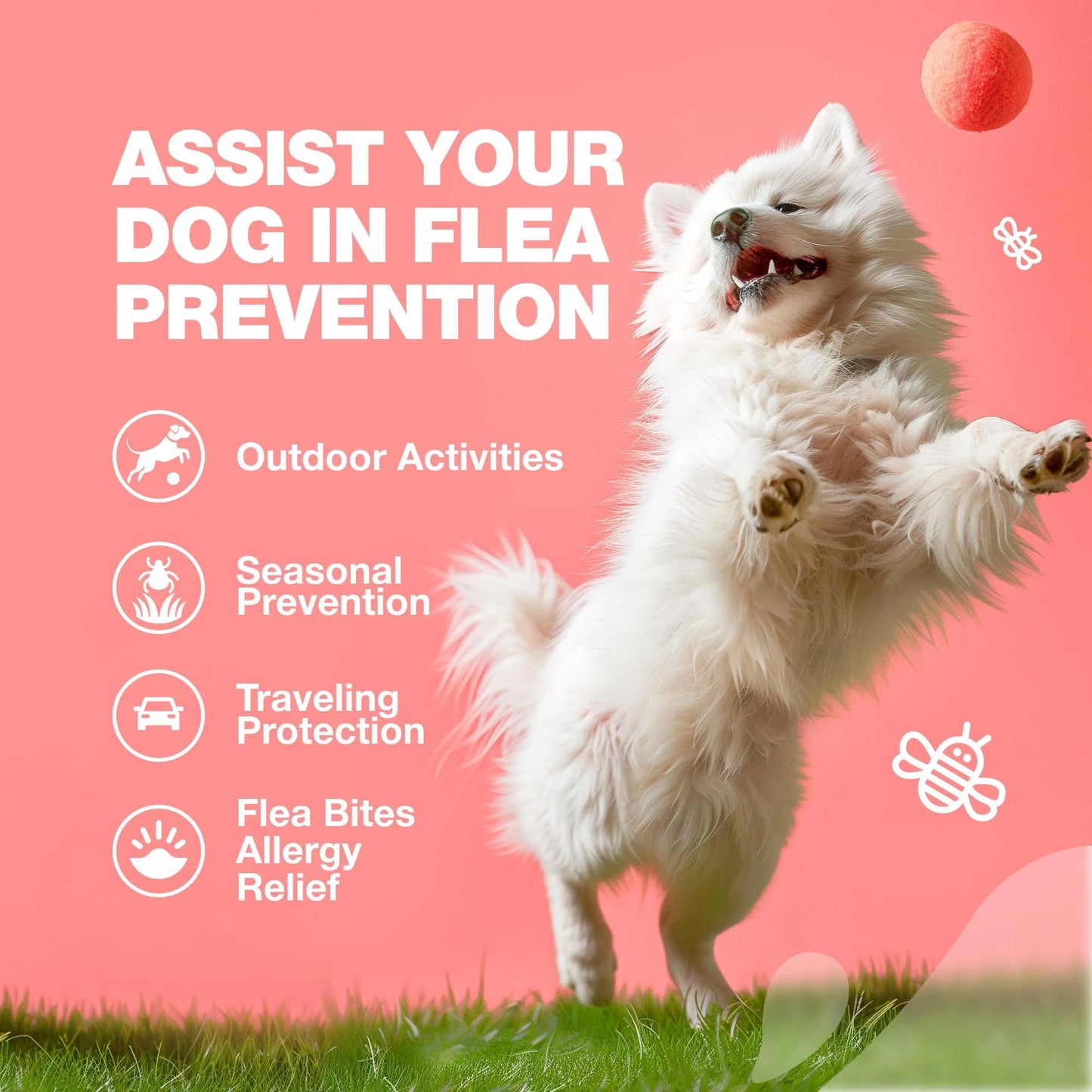 Yassi Flea & Tick Chews for Dogs