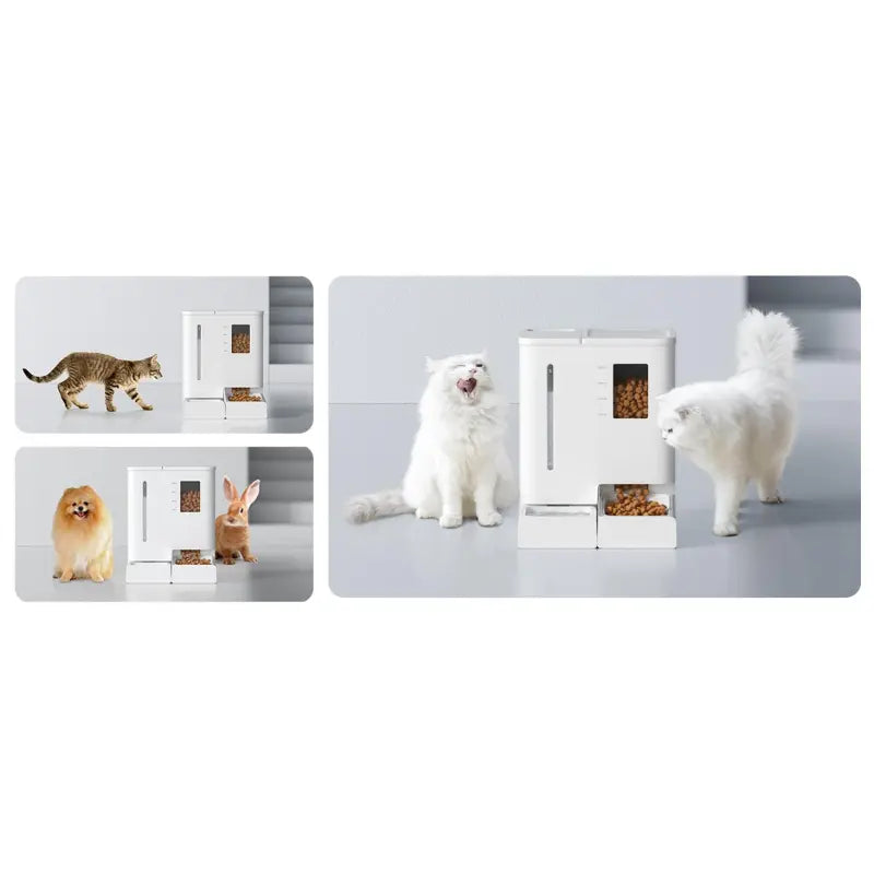YASSI WiFi Automatic Smart Pet Feeder - App Controlled Timed Dog & Cat Food Dispenser