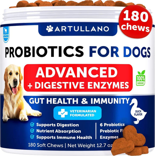 Yassi Digestive Probiotic Chews for Dogs
