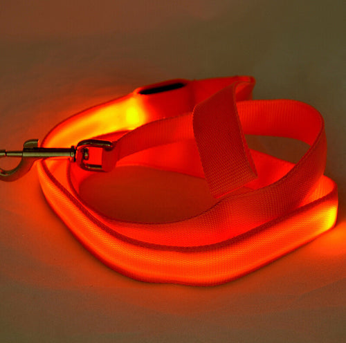 YASSI Glow Leash — USB Rechargeable LED Pet Leash